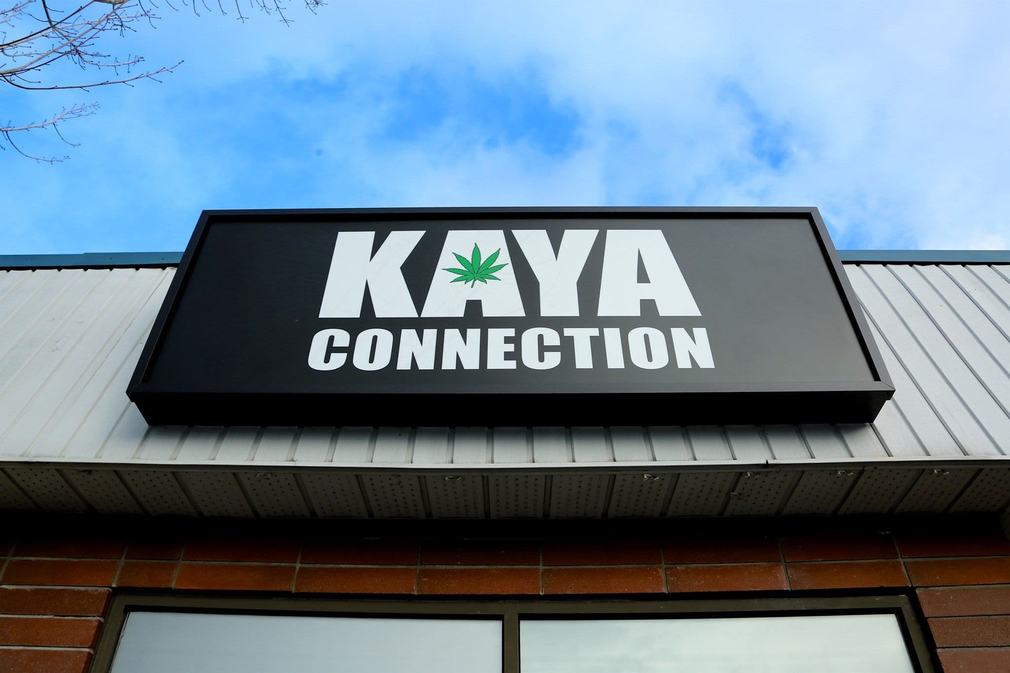 Kaya Connection logo