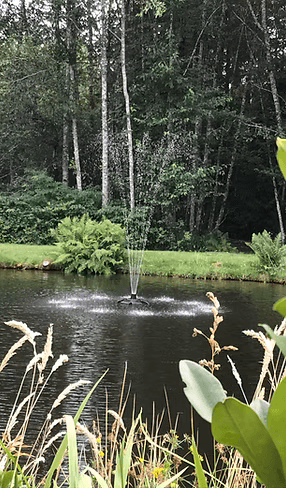 Mid Island Labour Ponds & Water Gardens logo