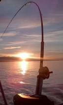 I Charter and Tour