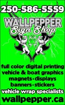 Wallpepper Designs